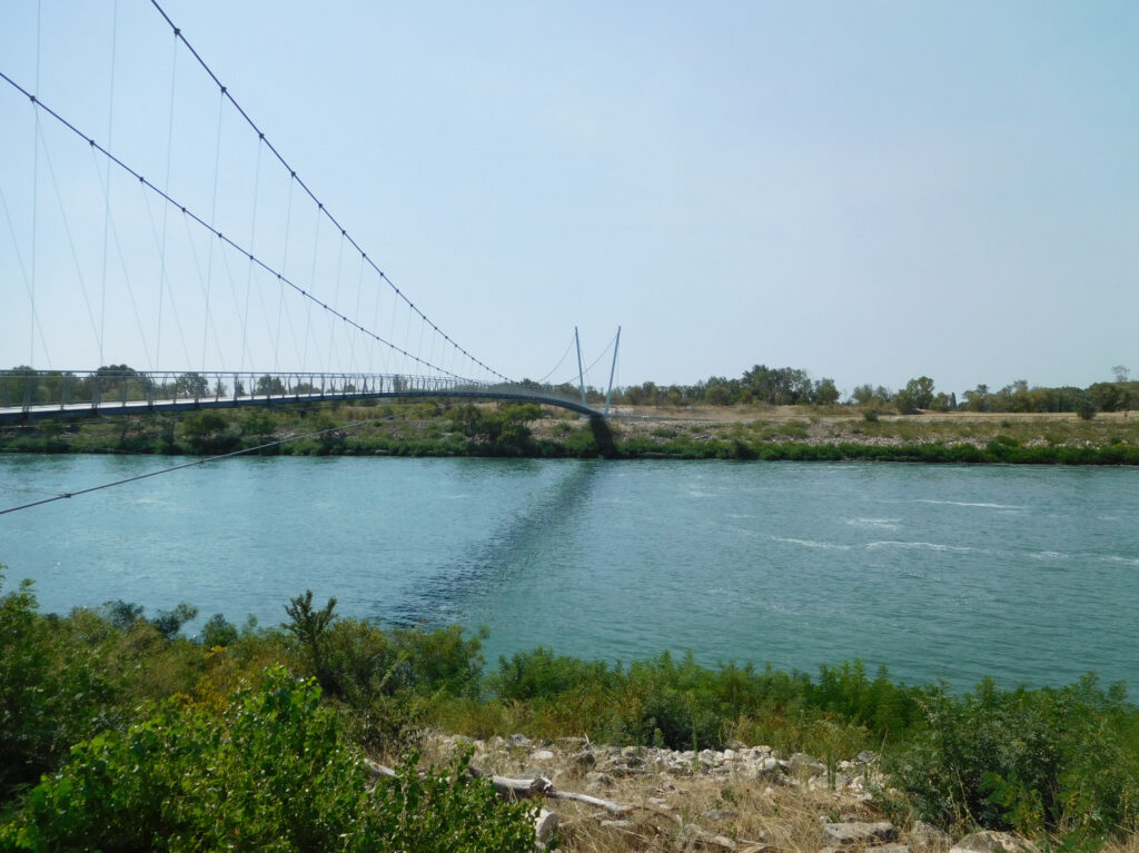 Ponte